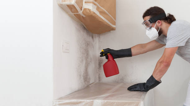 Attic Mold Remediation treatment on roof deck in Salix